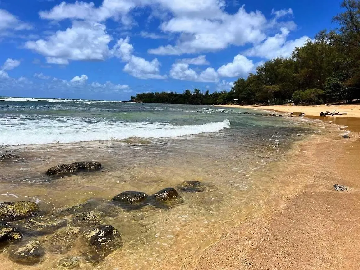 Islander On The Beach 239 Kapa'a United States