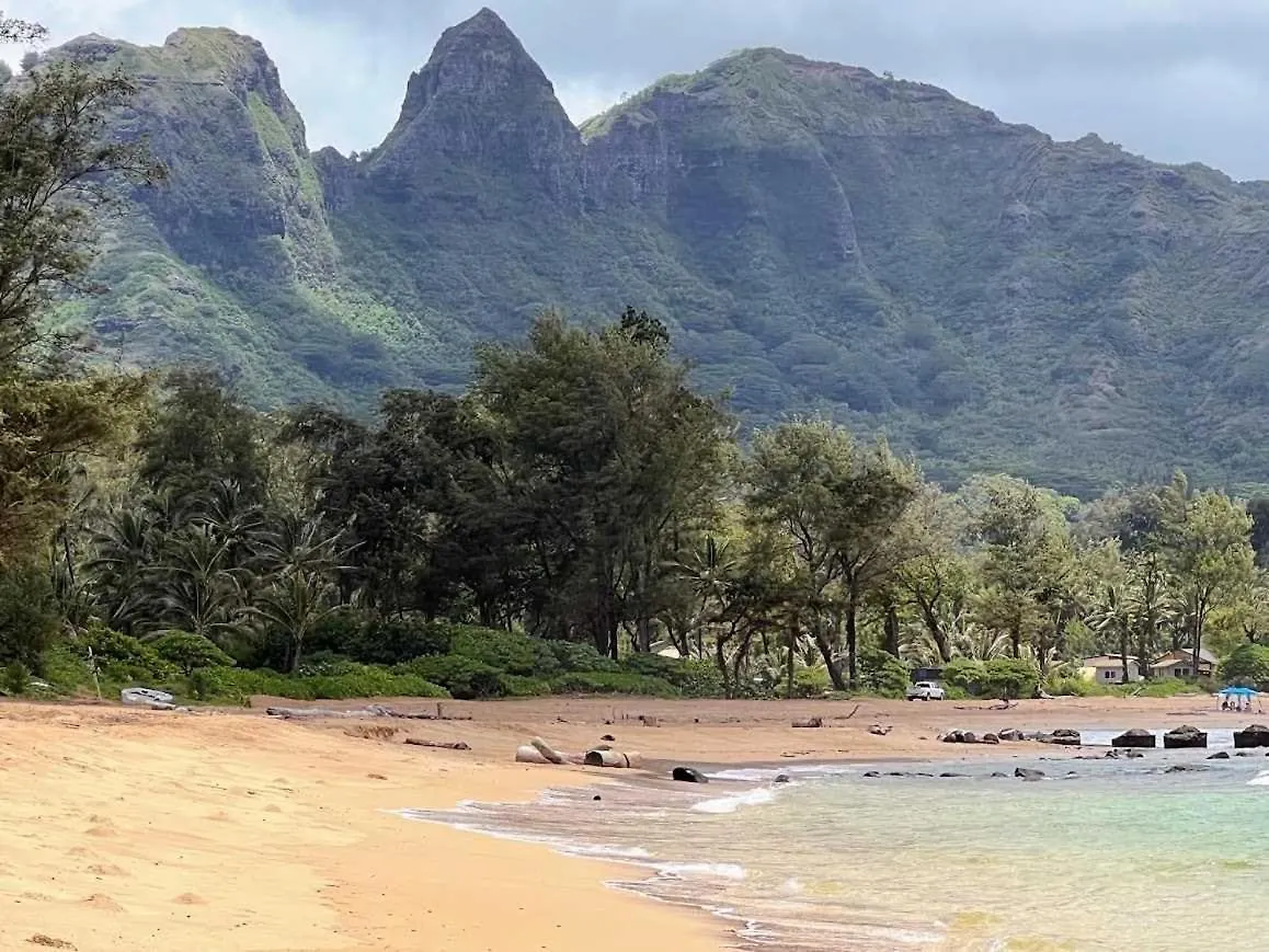 Islander On The Beach 239 Kapa'a 0*,  United States