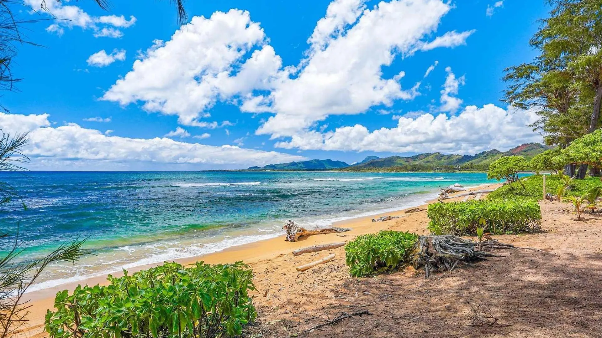 Διαμέρισμα Islander On The Beach 239 Kapa'a Ηνωμένες Πολιτείες της Αμερικής